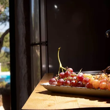 Paxosblue & דירה