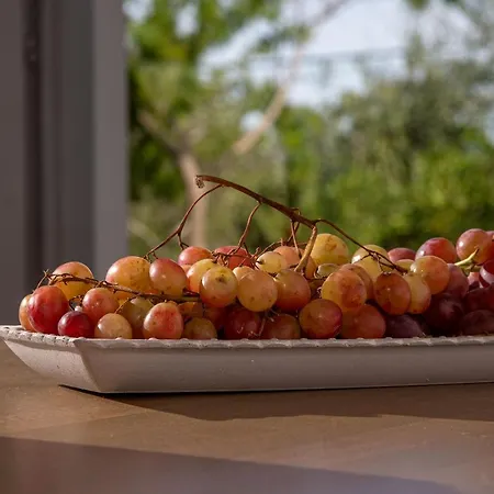 Paxosblue & דירה