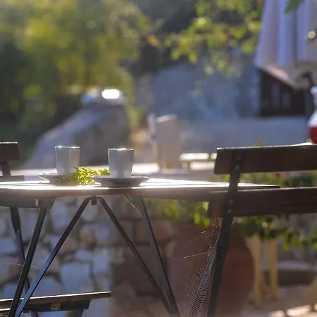 Paxosblue & * גאיוס