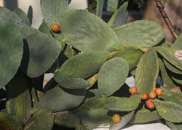 Paxosblue Suites&villas *